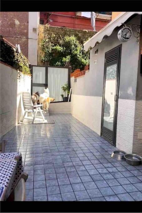 Napoli Centro Casa Con Due Camere E Cucina Exteriör bild